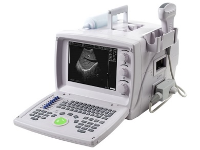 Ultrasound NSL 9618 Well D