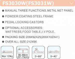 FS3030